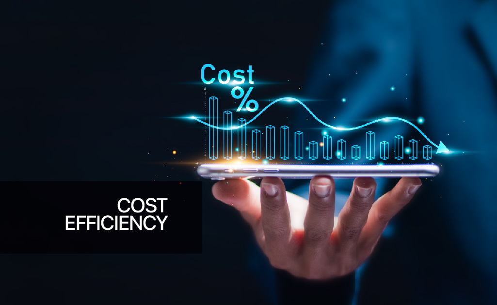 cost efficiency